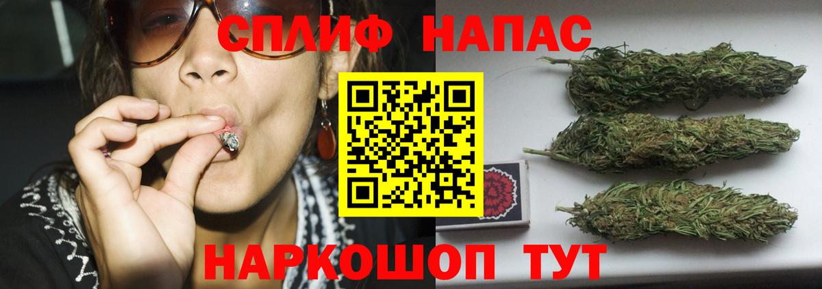 МАРИХУАНА семена Сосновый Бор